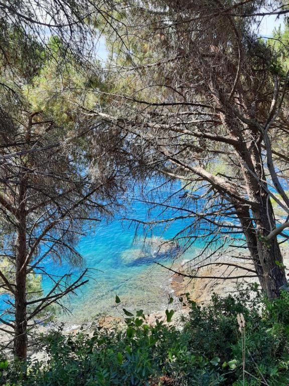 Appartamento Il Vicoletto La Spezia Exterior foto